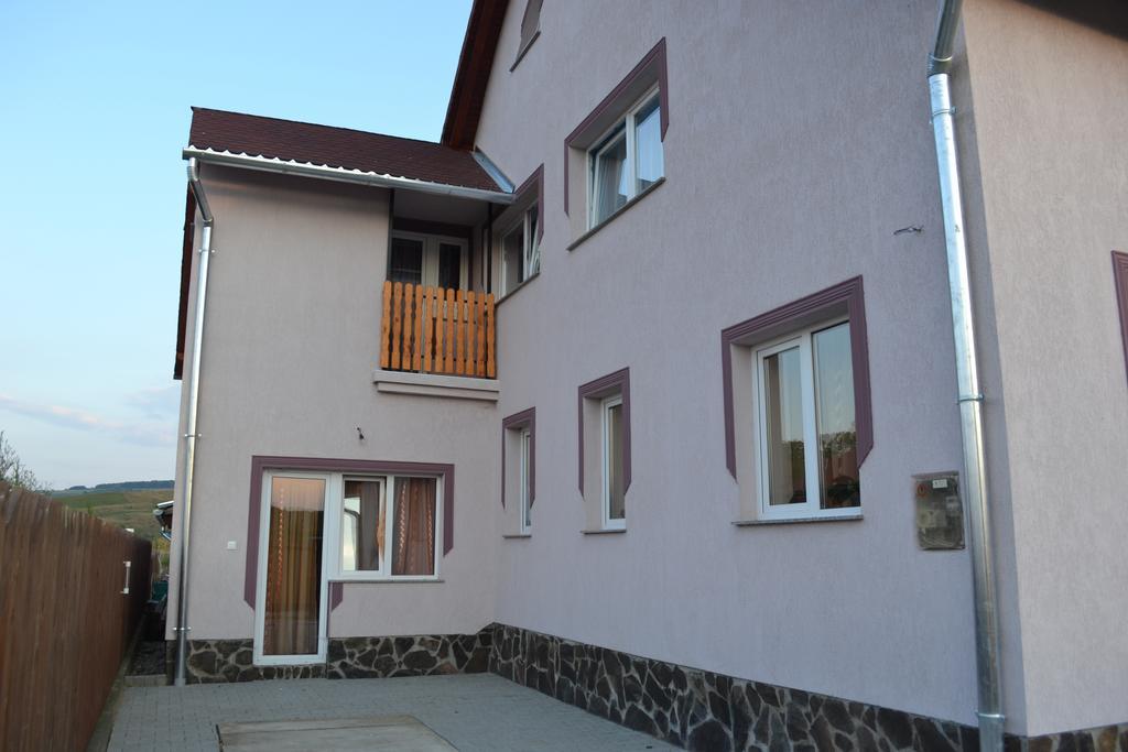 Ersa Panzio Bisericani (Harghita) Bagian luar foto